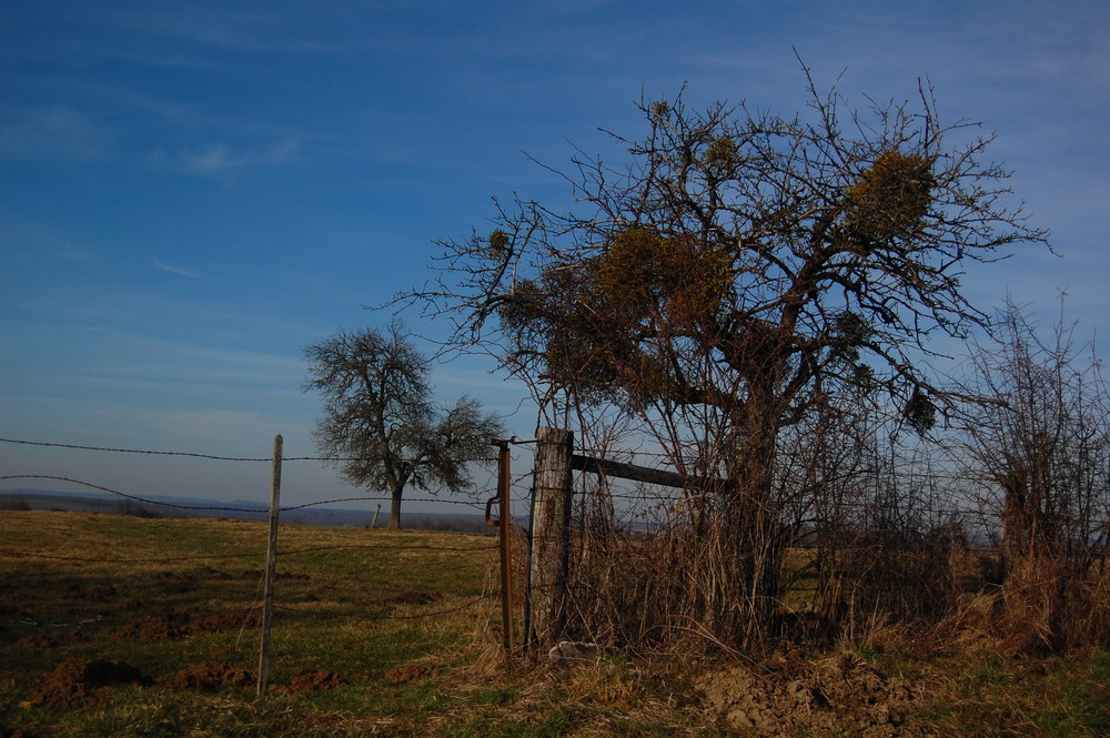 nature....morte