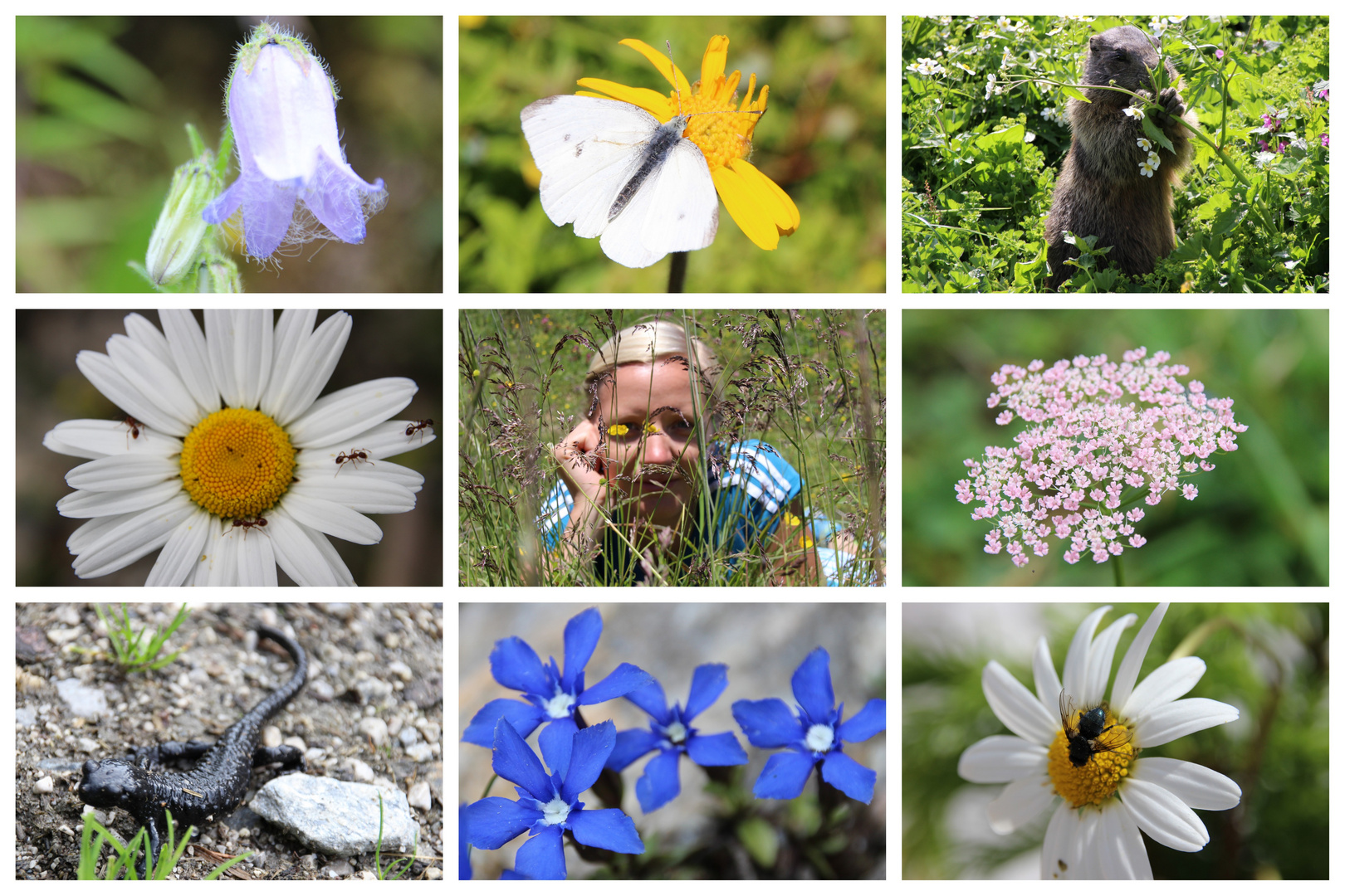 Naturentdeckungen