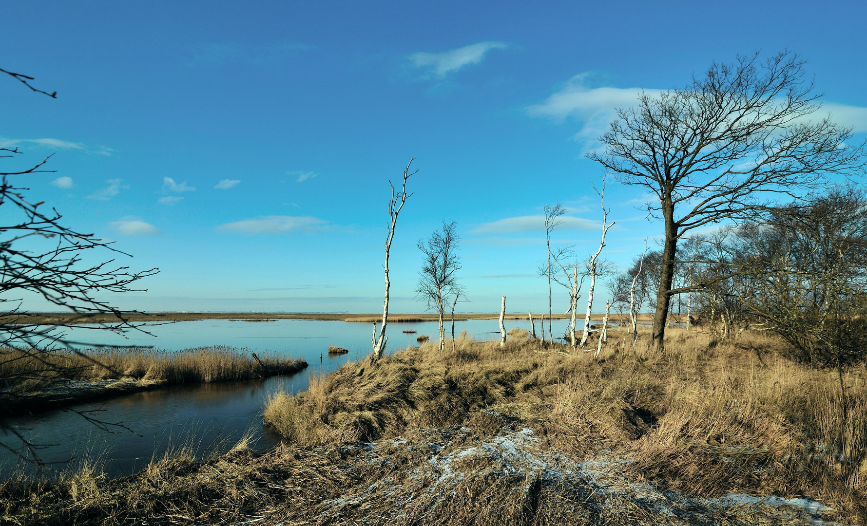 Naturerbe " Das schwimmende Moor "