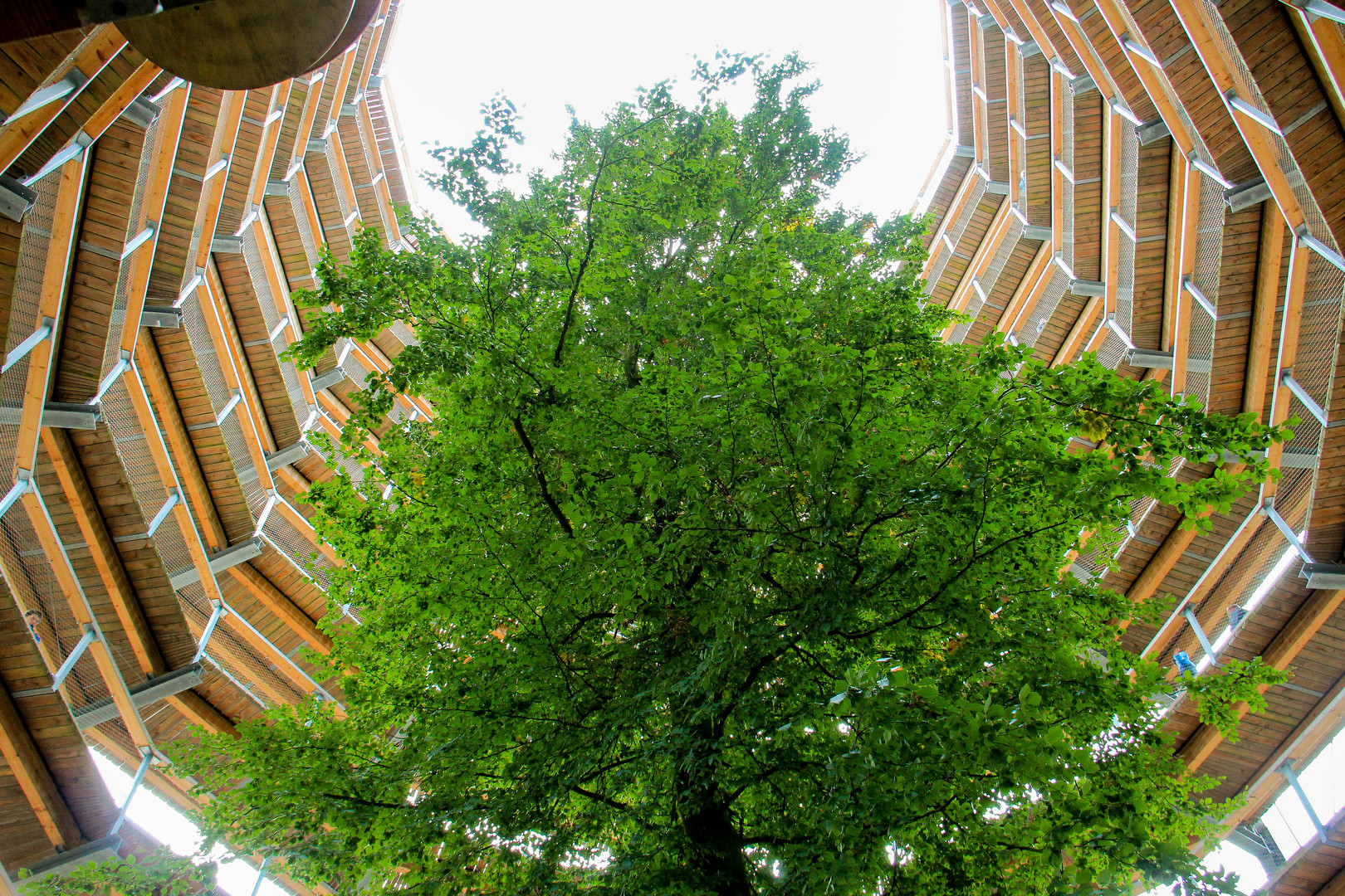 Naturerbe-Zentrum Rügen