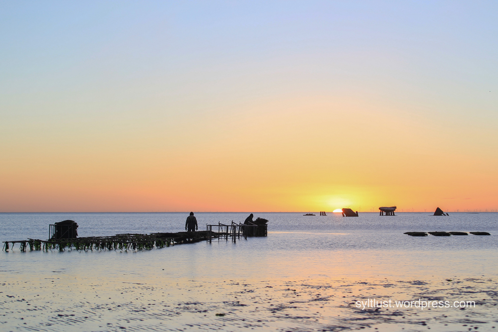 NATURERBEWATTENMEER