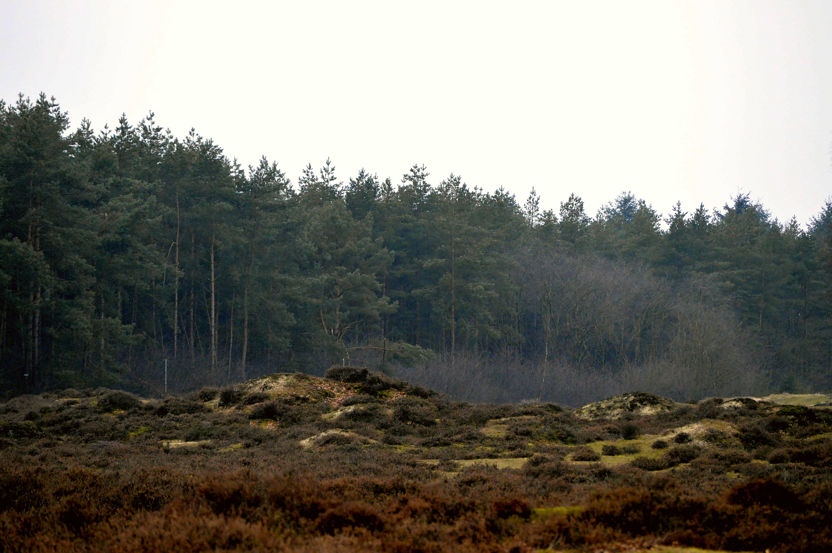 Naturerlebnis Wachendorf