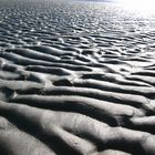 Naturerlebnis Watt auf Föhr