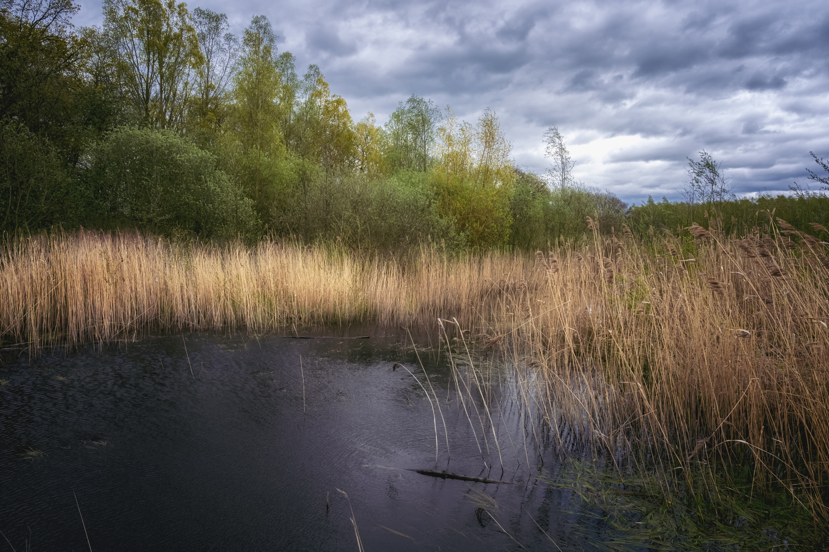 Naturerlebnisstation Frosch