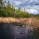 Naturerlebnisstation Frosch