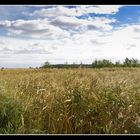 Naturerlebnisweg - Blick auf die Moorlandschaft