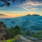 naturerwachen am Sprinzelfelsen