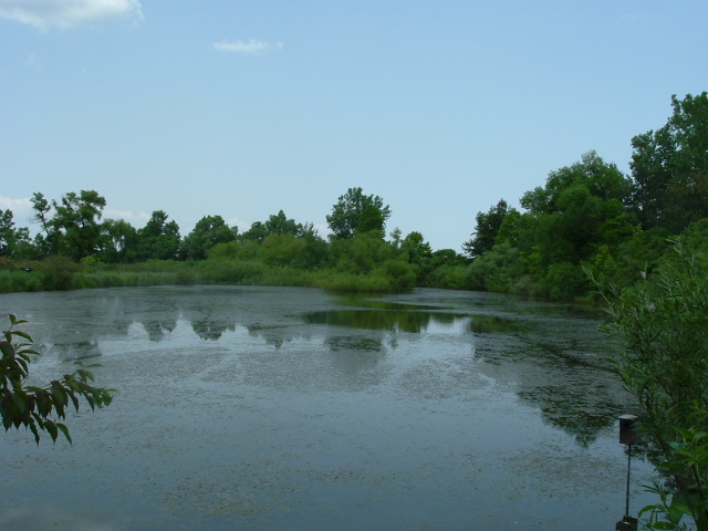 Nature's Bathtub