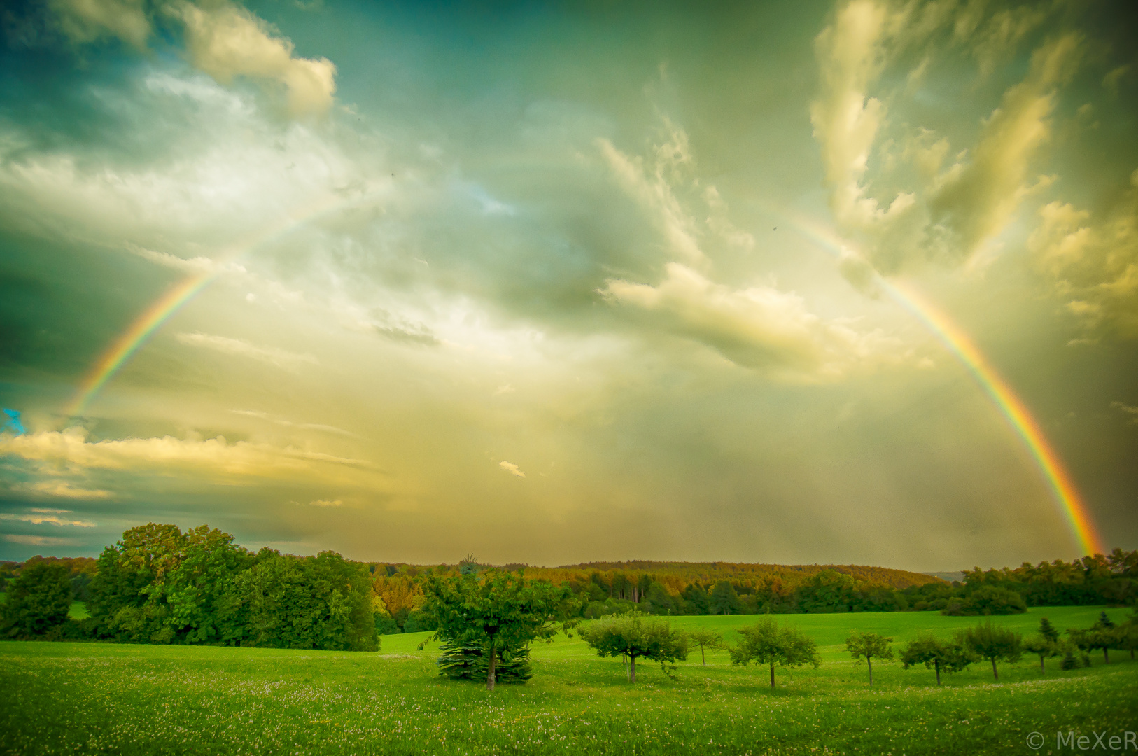 -nature's festival of colors-