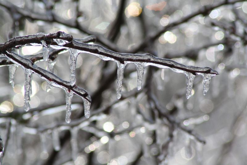 Natures Ice