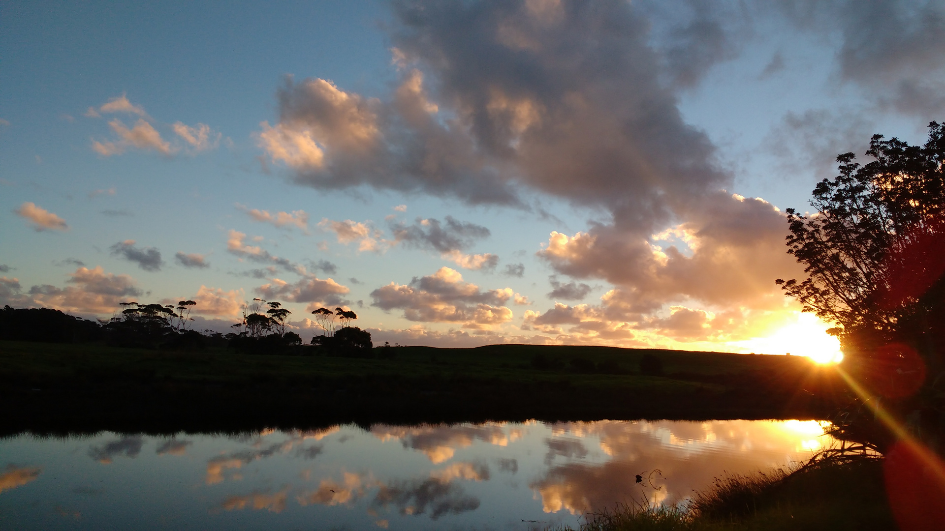 Nature's Mirror