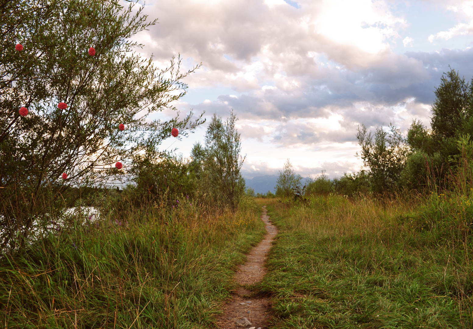 Natures Pathway