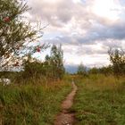 Natures Pathway