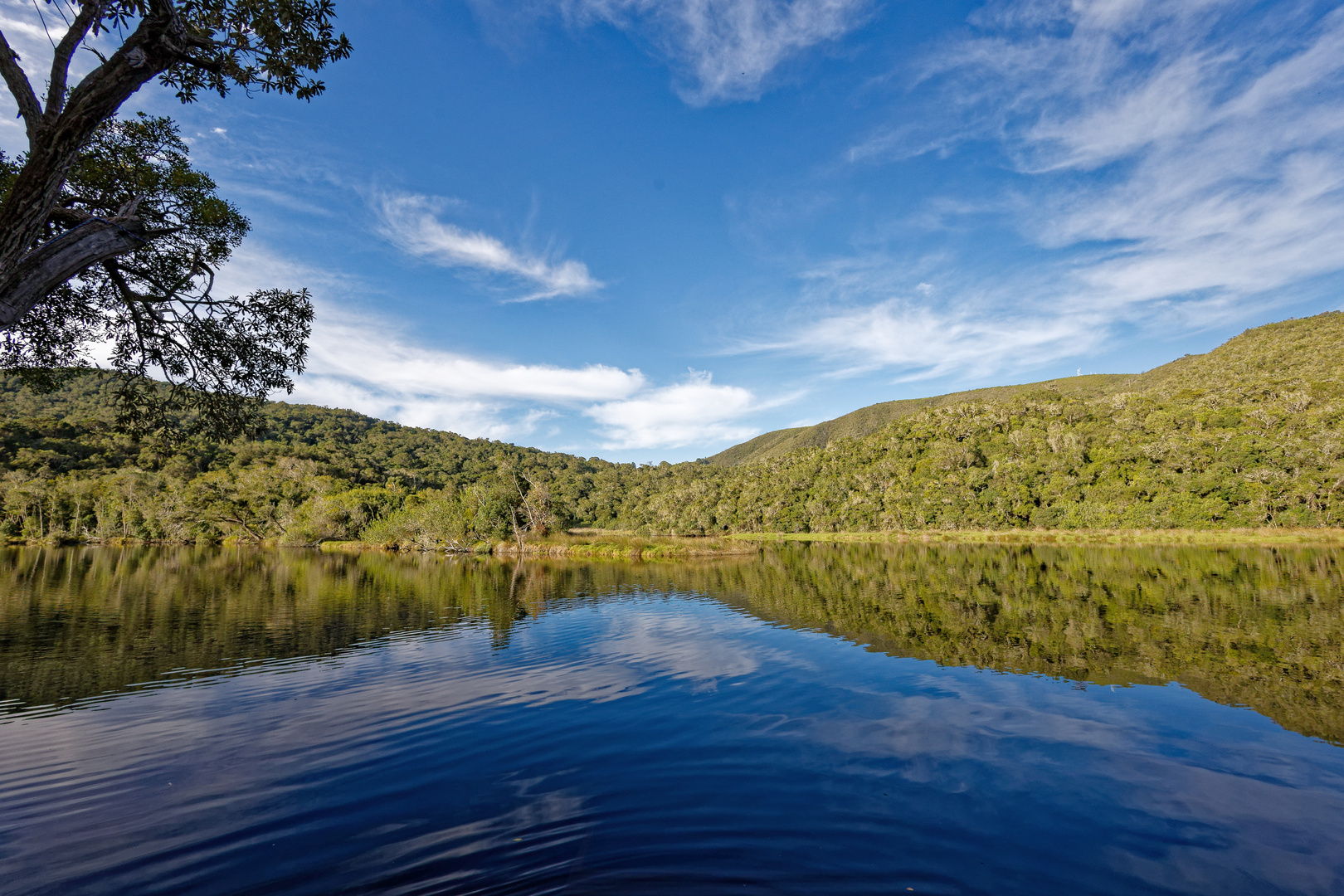 Natures Valley Restcamp 