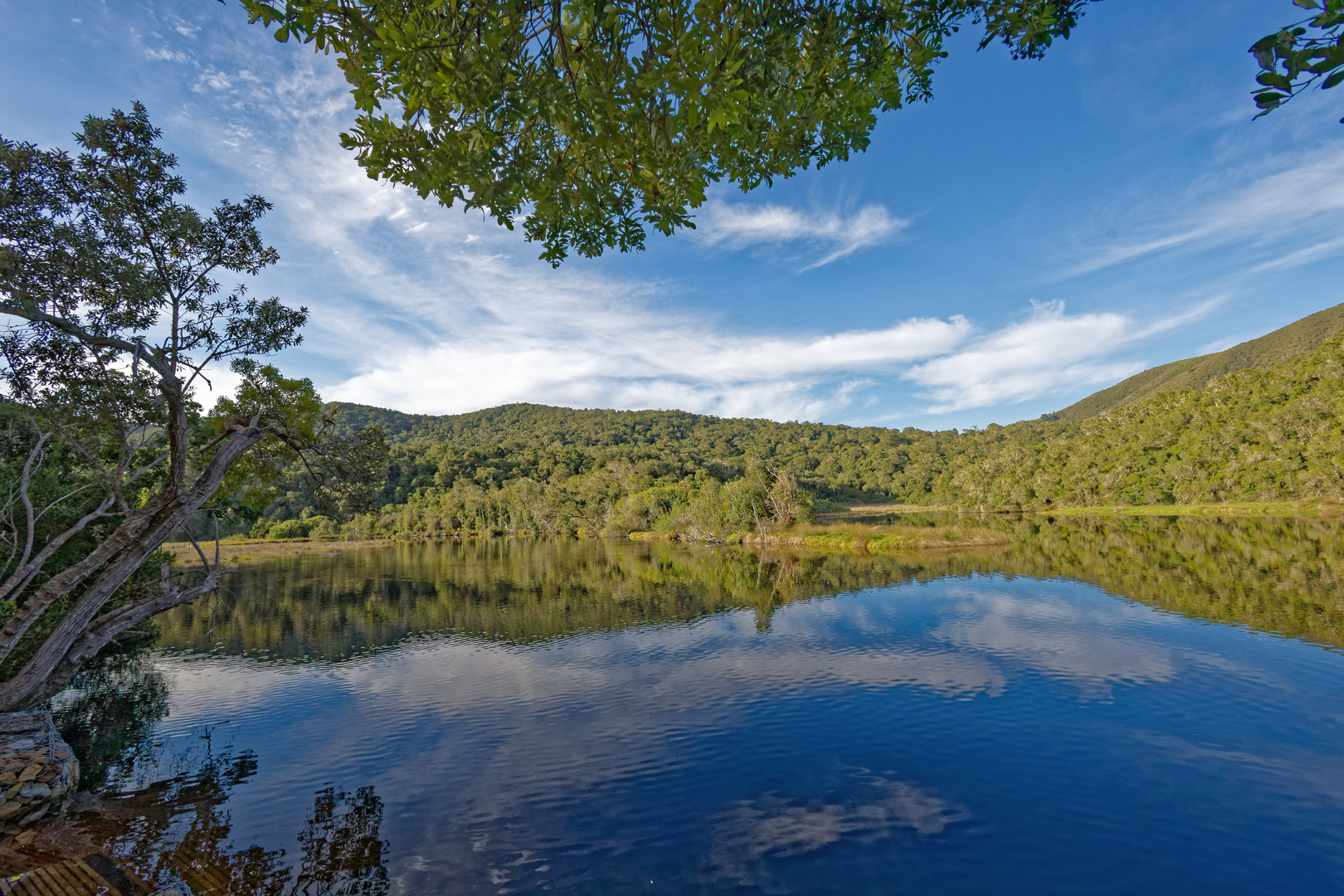 Natures Valley Restcamp_1