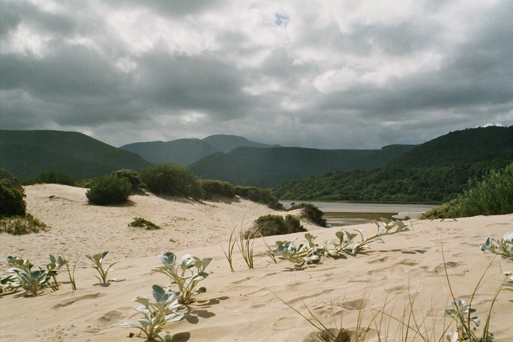 Nature's Valley - Südafrika