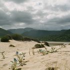 Nature's Valley - Südafrika