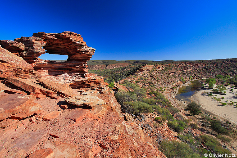 Nature's Window