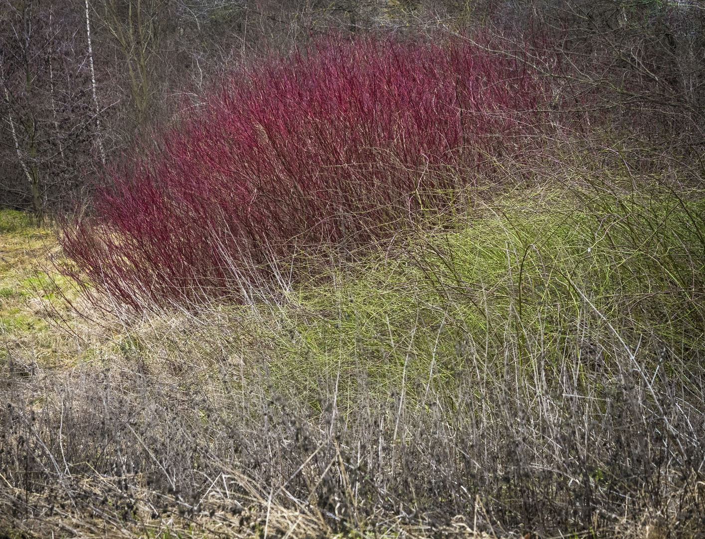 Naturfarben