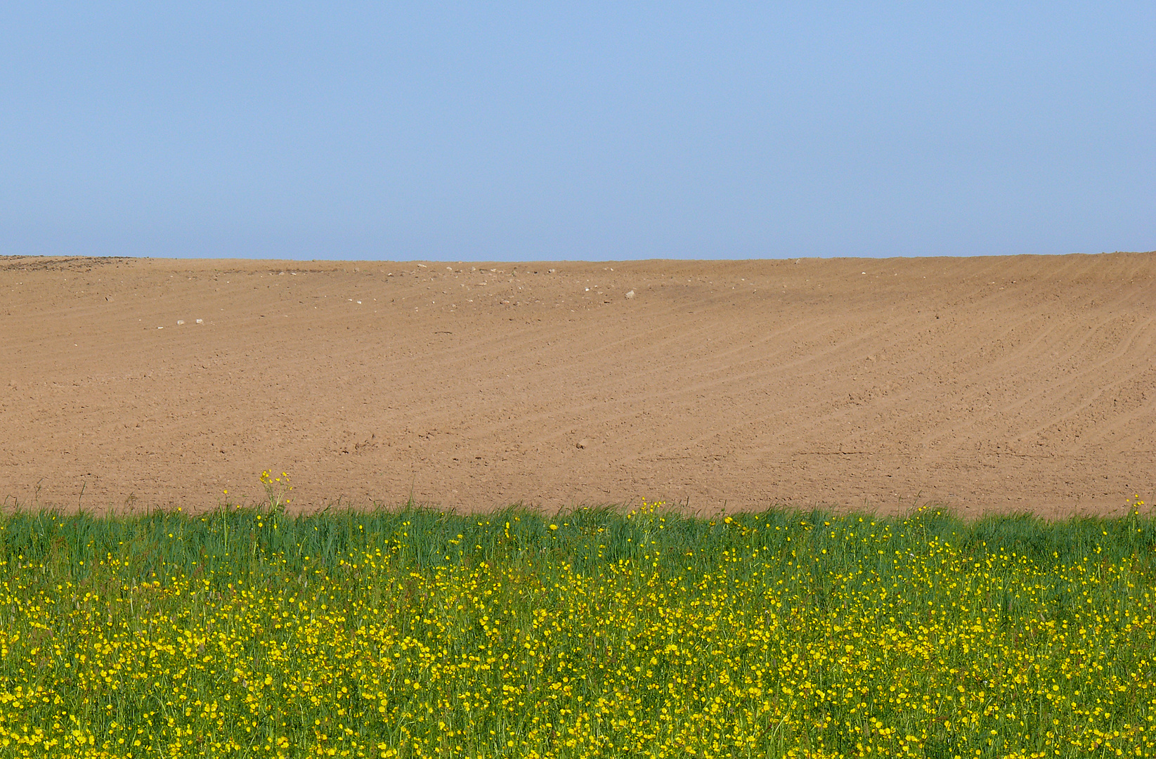 Naturfarben