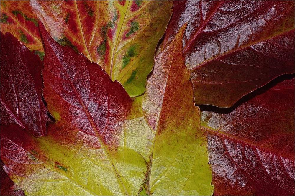 Naturfarben