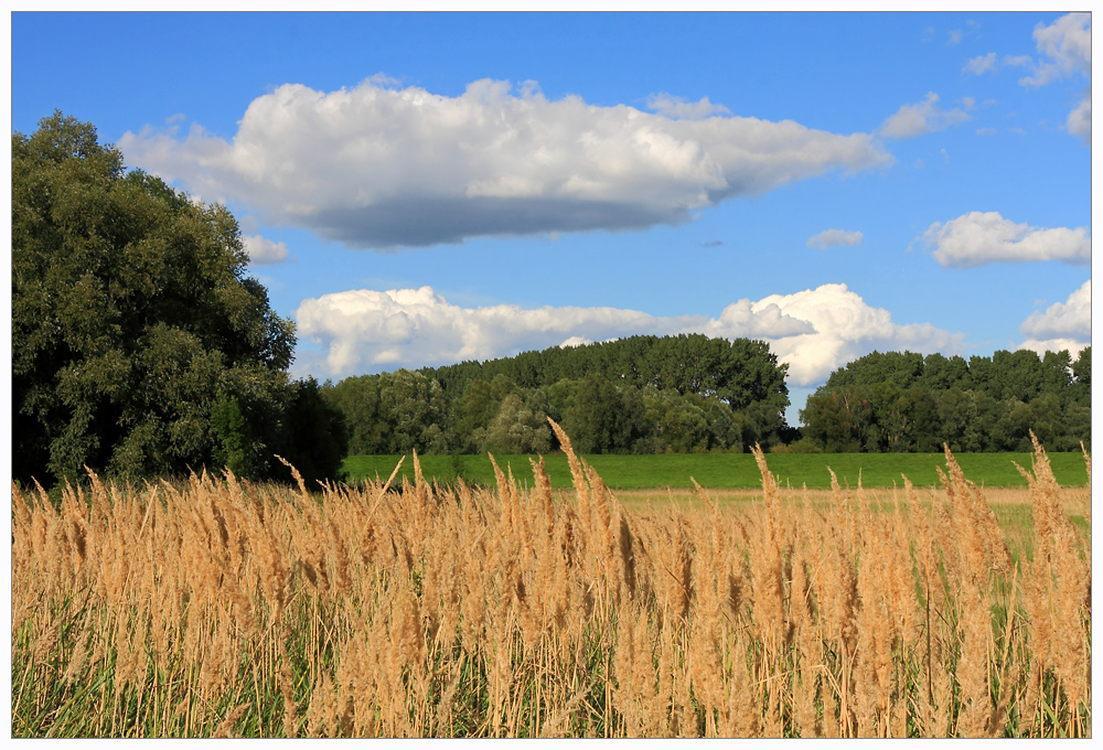 NaturFarben