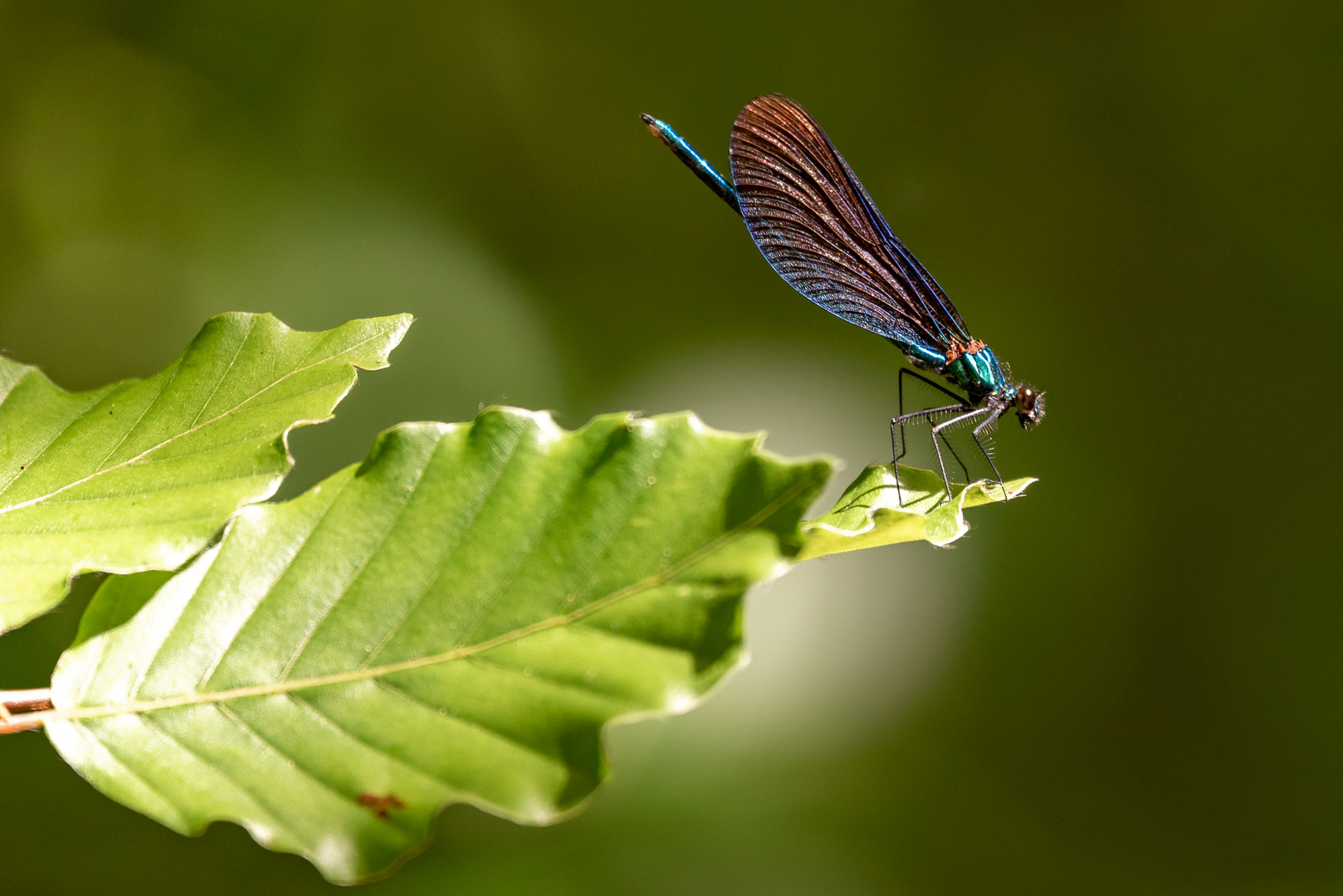 Naturfarben