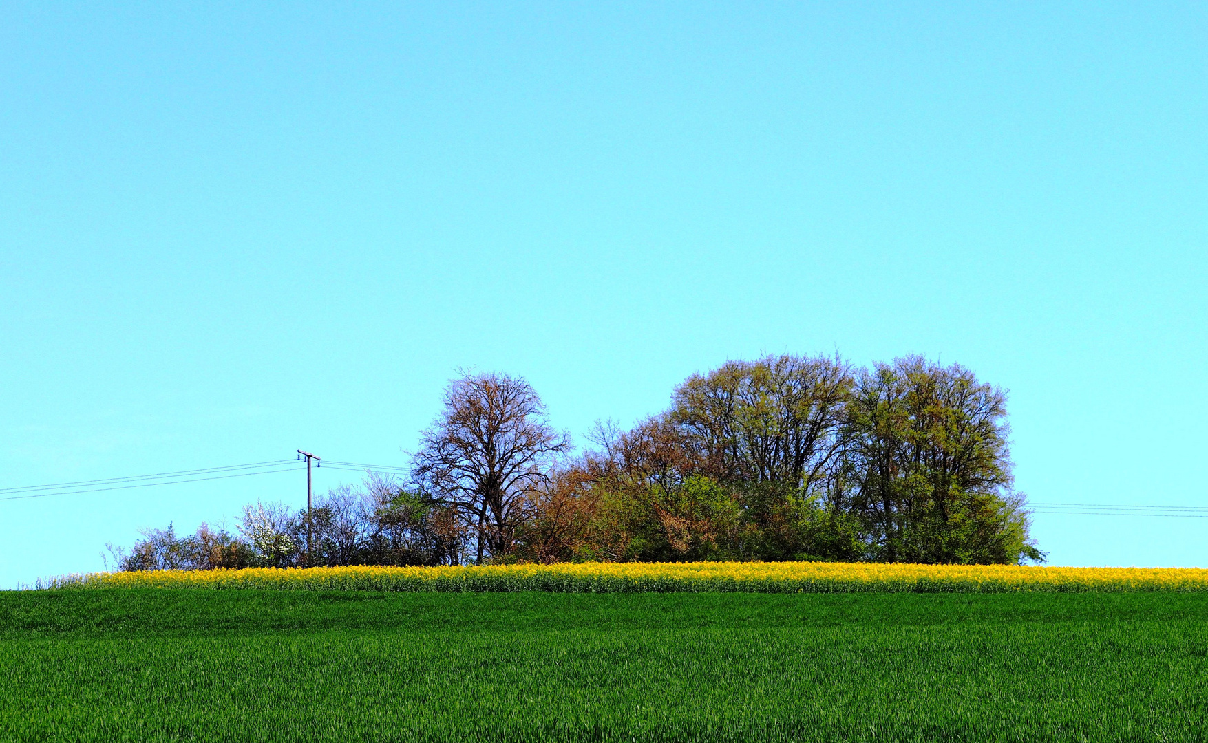 Naturfarben des Frühlings