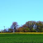 Naturfarben des Frühlings