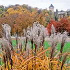 Naturfarben im Oktober