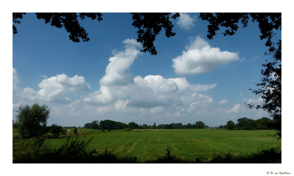 Naturfenster