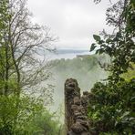 Naturfenster