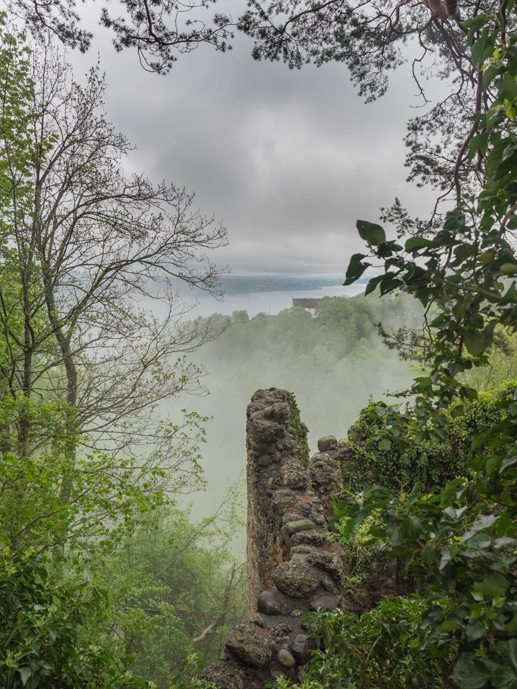 Naturfenster die 2te