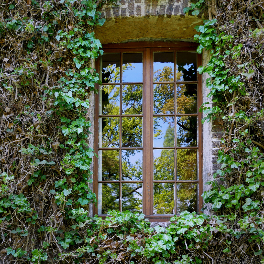 Naturfenster