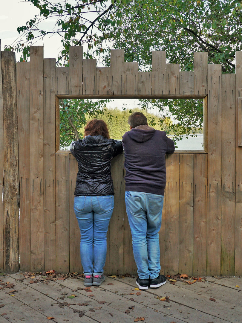 Naturfernseher in Breitformat