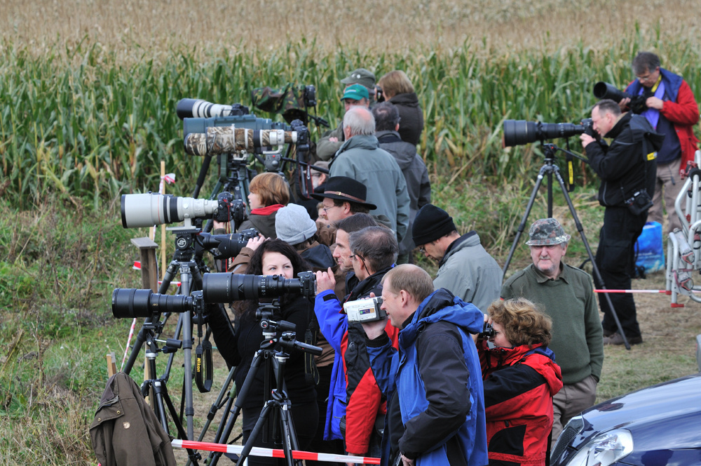 Naturfotografen in Aktion