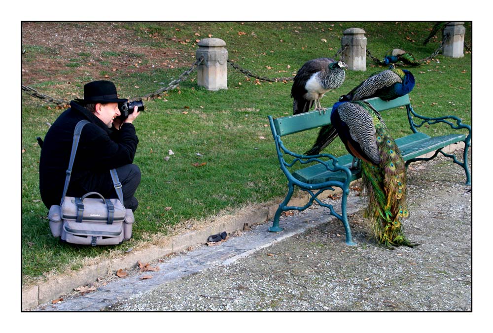 Naturfotografen und die Objekte ihrer Begierden #03