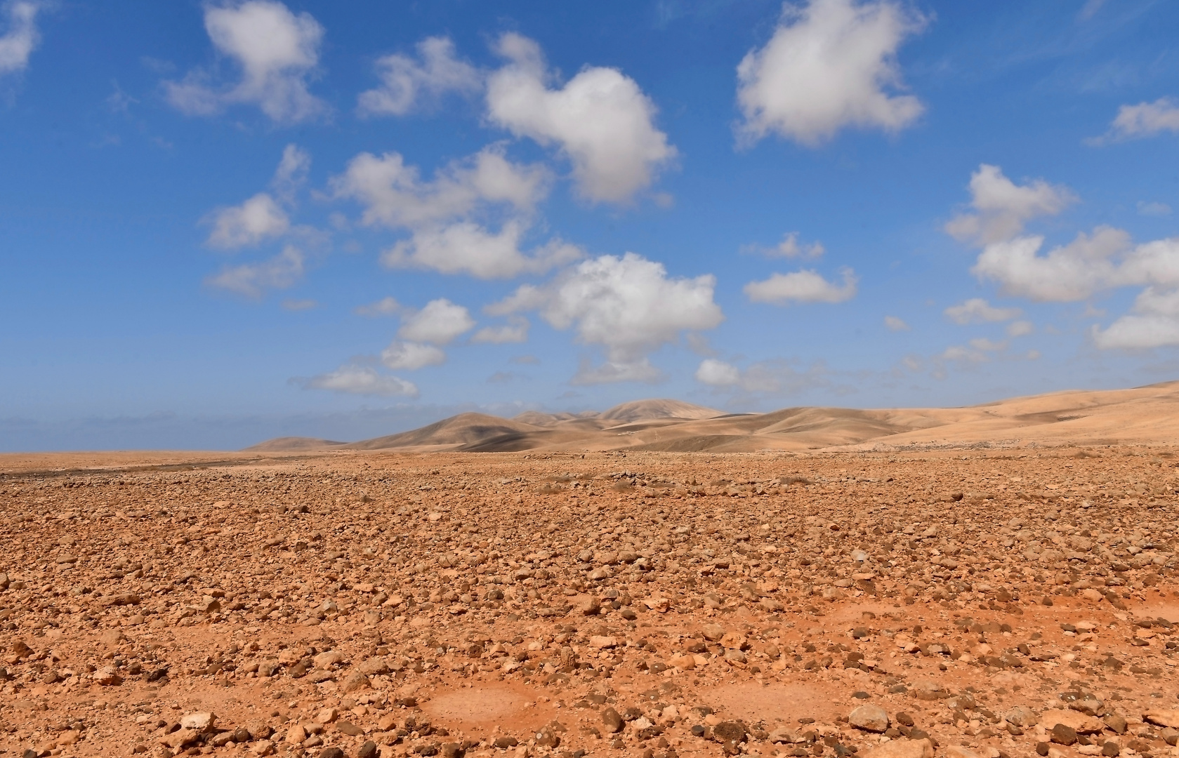 Naturfotografie: Fuerteventura, Südspitze