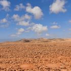 Naturfotografie: Fuerteventura, Südspitze