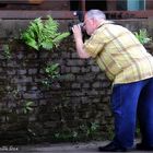 Naturfotografie im LaPaDu