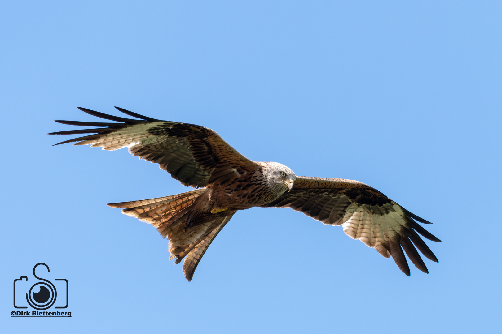 Naturfotografie leichtgemacht.. 