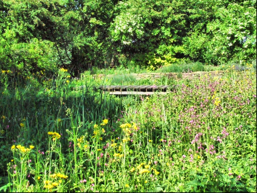 Naturgarten Altena Teich HDR