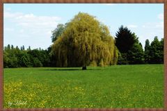 Naturgemälde fürs Wohnzimmer