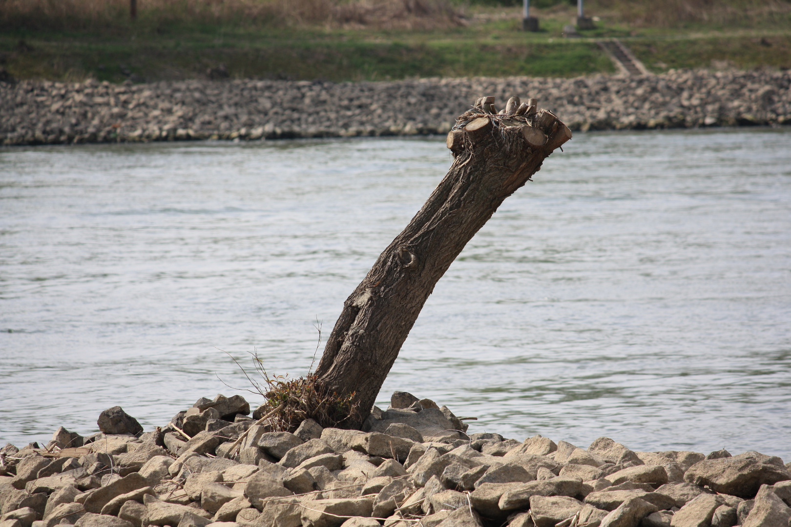 Naturgeschichte