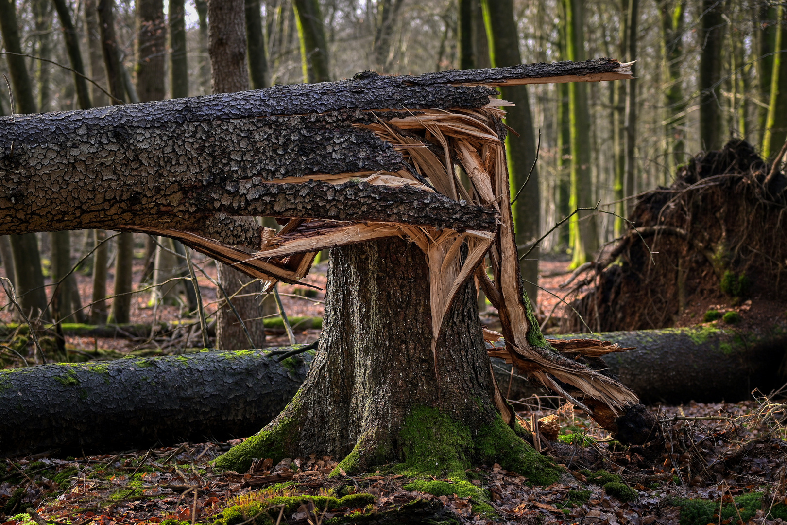 Naturgewalt