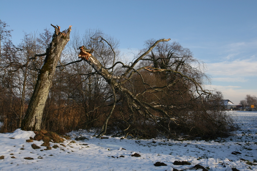 Naturgewalt...