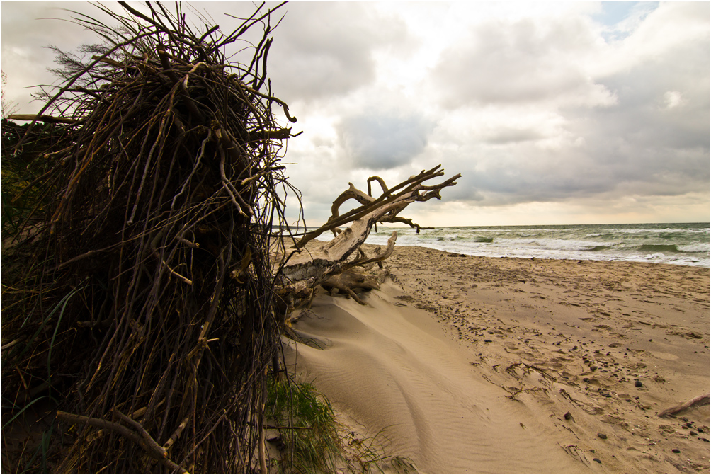 Naturgewalten