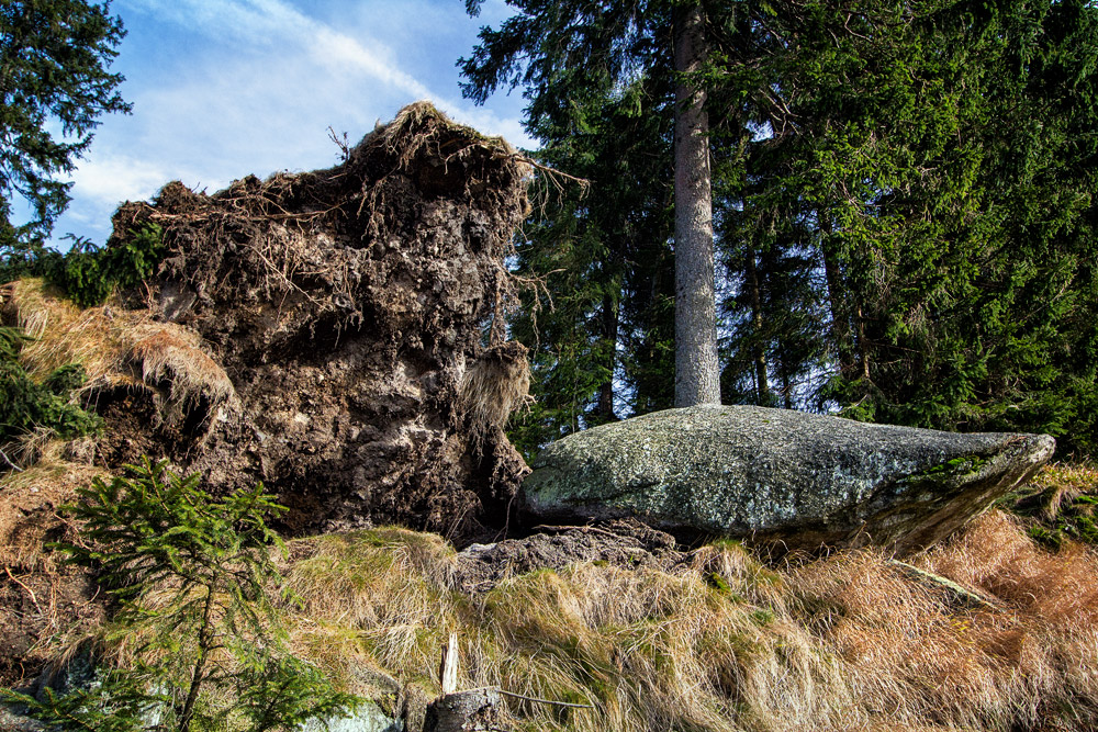 Naturgewalten 