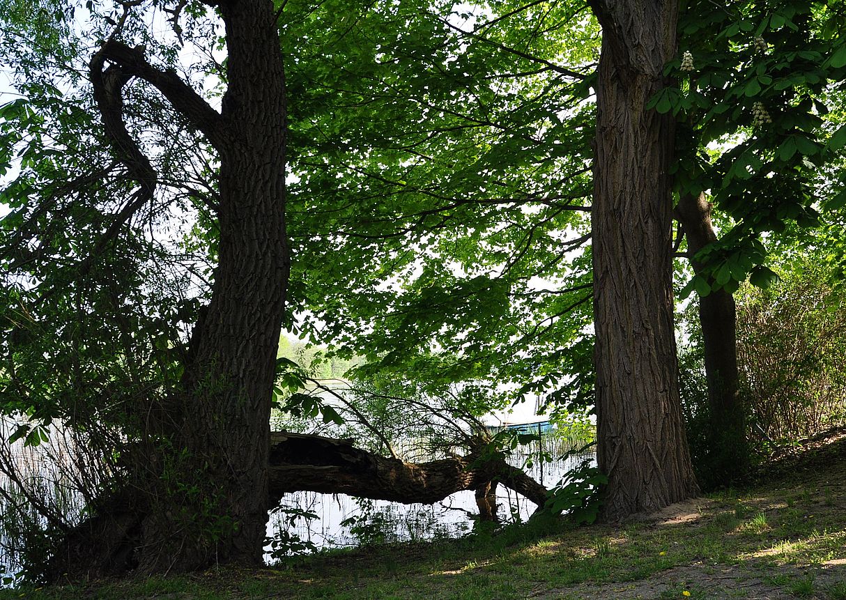 Naturgewalten