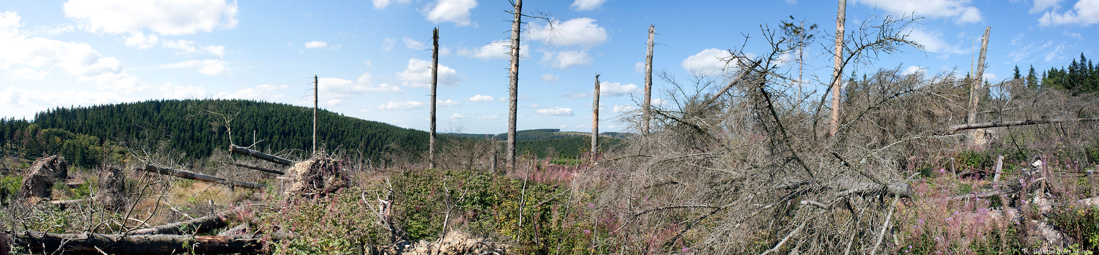 Naturgewalten